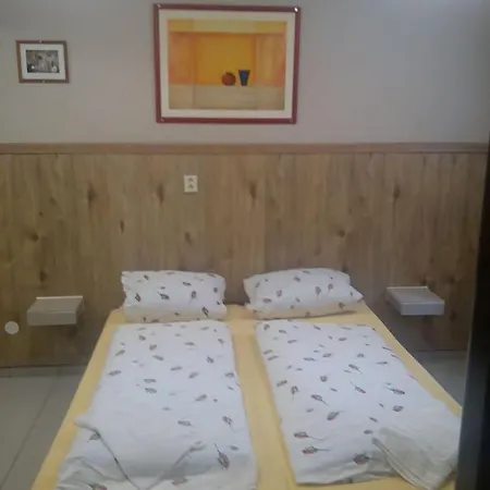 Apartments Manhattan Homestay Teplice